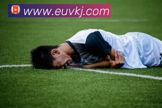 巴西世界杯吉祥物命名背后故事曝光设计理念和主办方考量解析